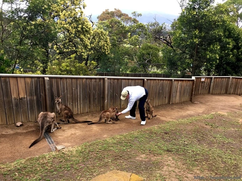 2016-11-25_at_08.52.41.jpg?type=w773