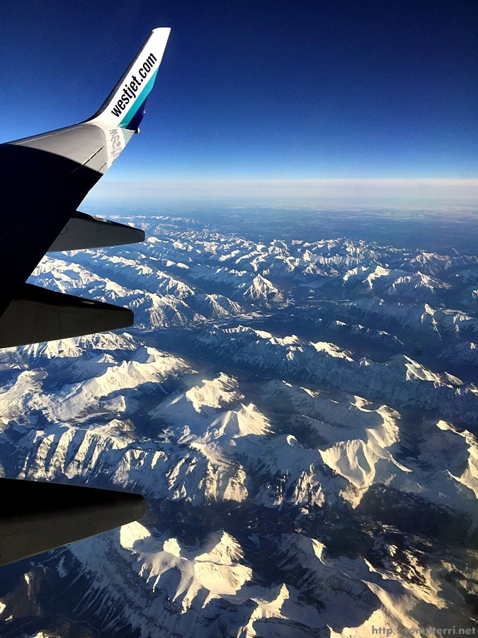 2016-02-08_at_01.27.56.jpg?type=w773