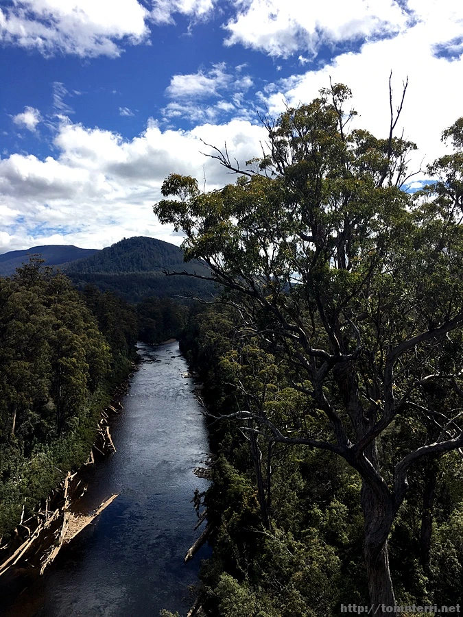 2016-11-24_at_13.25.33.jpg?type=w773