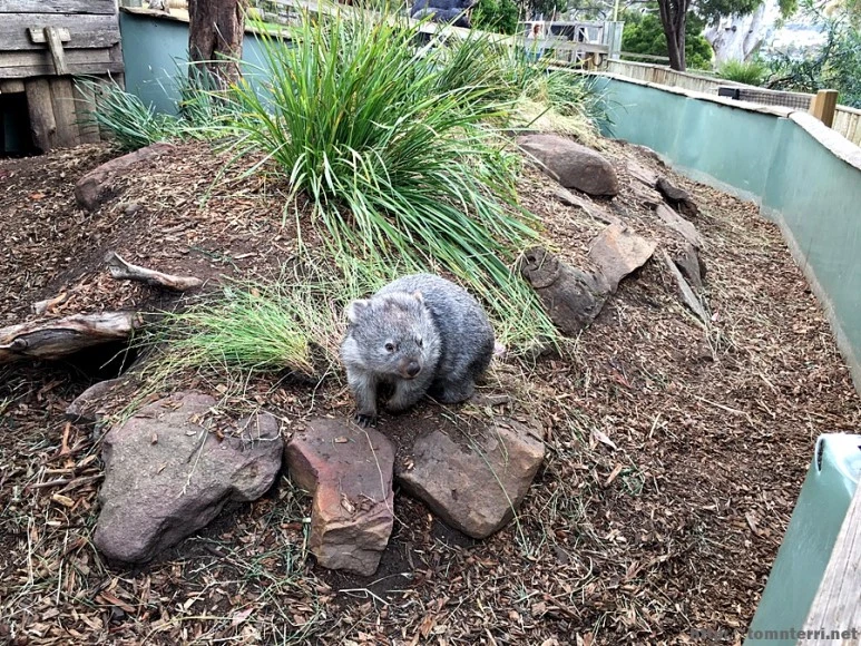 2016-11-25_at_08.15.37.jpg?type=w773