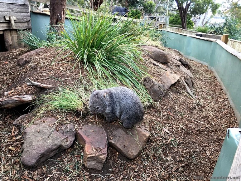 2016-11-25_at_08.15.36.jpg?type=w773