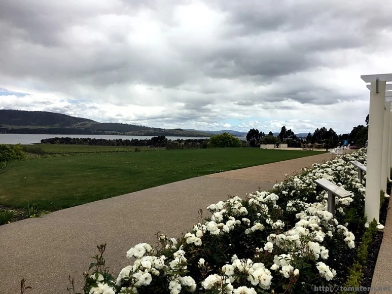 2016-11-25_at_10.50.50.jpg?type=w773