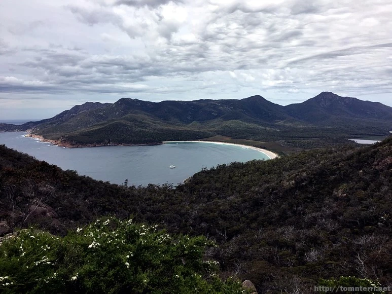 2016-11-22_at_10.23.08.jpg?type=w773