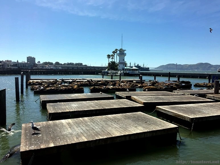 2017-04-29_at_07.02.51.jpg?type=w773