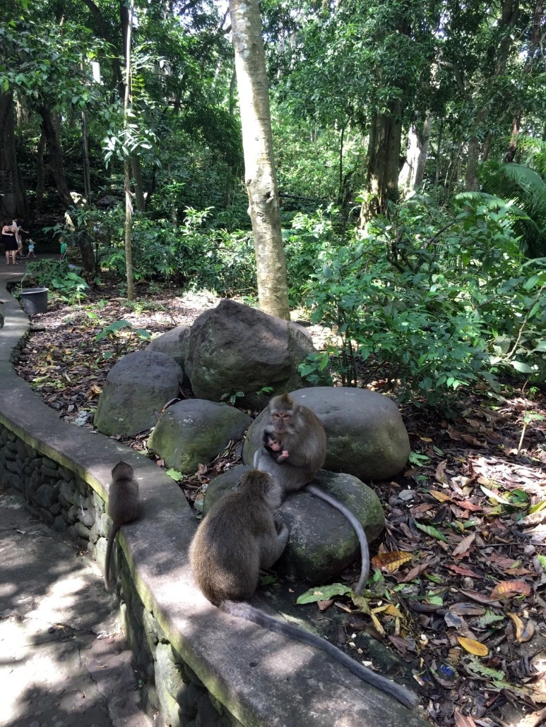 image_8826583491476019059042.jpg?type=w773