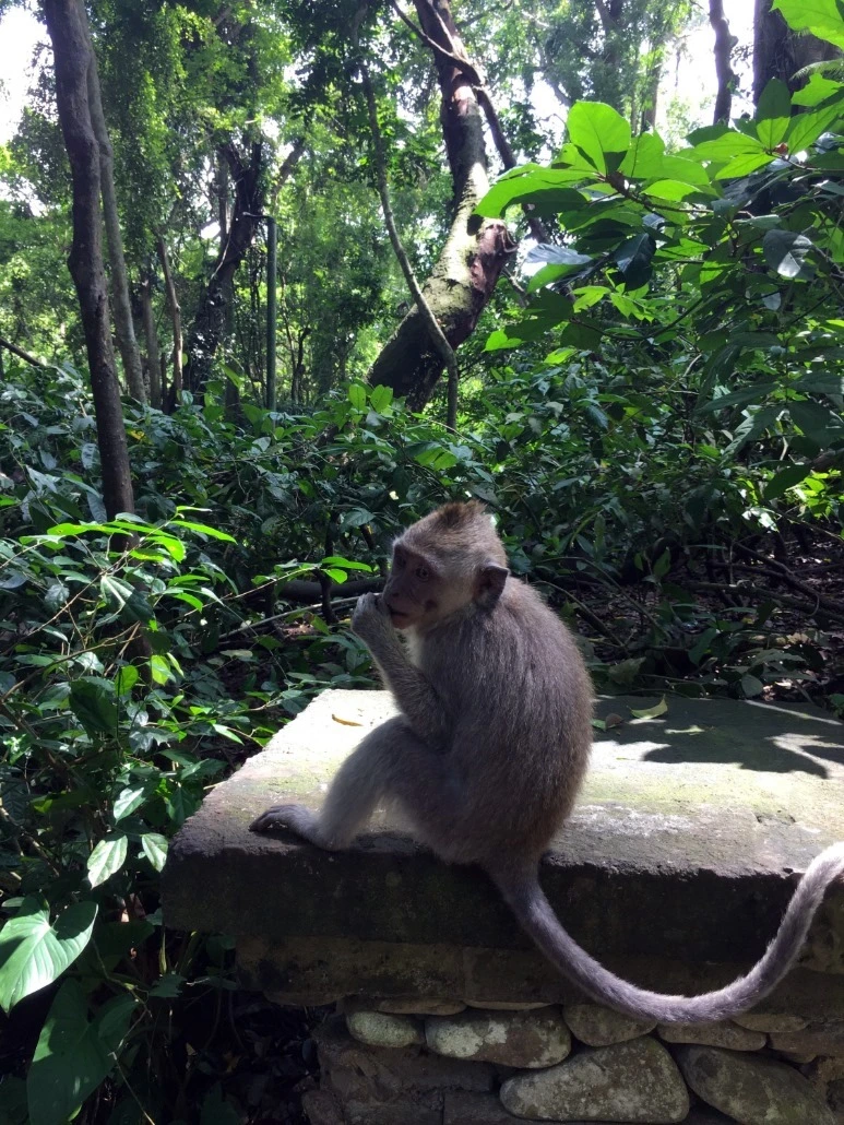 image_9288072211476019059043.jpg?type=w773