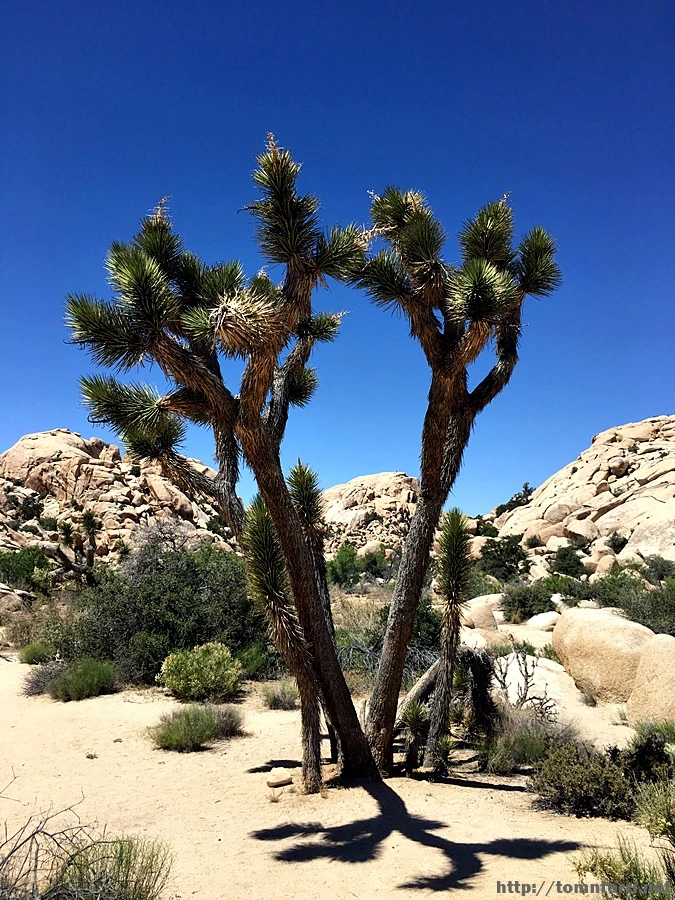 2017-05-05_at_05.49.29.jpg?type=w773