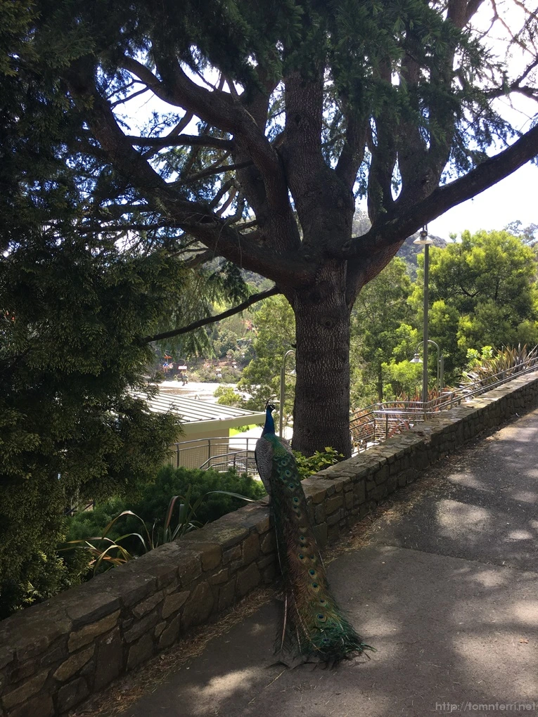 2016-11-19_at_13.06.15.jpg?type=w773