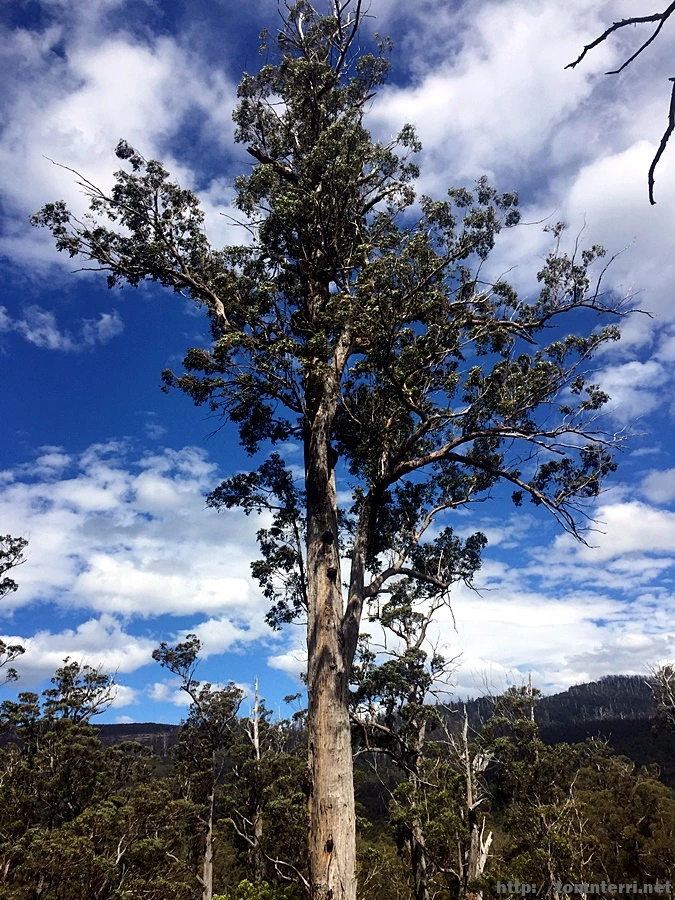 2016-11-24_at_13.16.30.jpg?type=w773