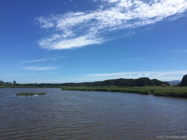 2016-11-20_at_09.02.17.jpg?type=w773