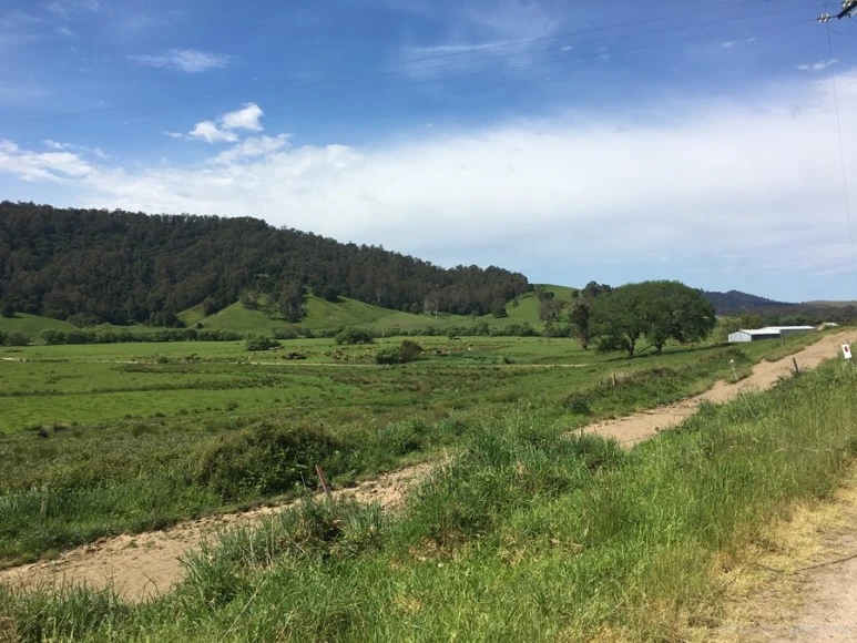 2016-11-21_at_13.14.32.jpg?type=w773