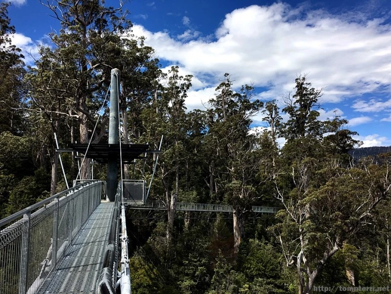 2016-11-24_at_13.27.01.jpg?type=w773