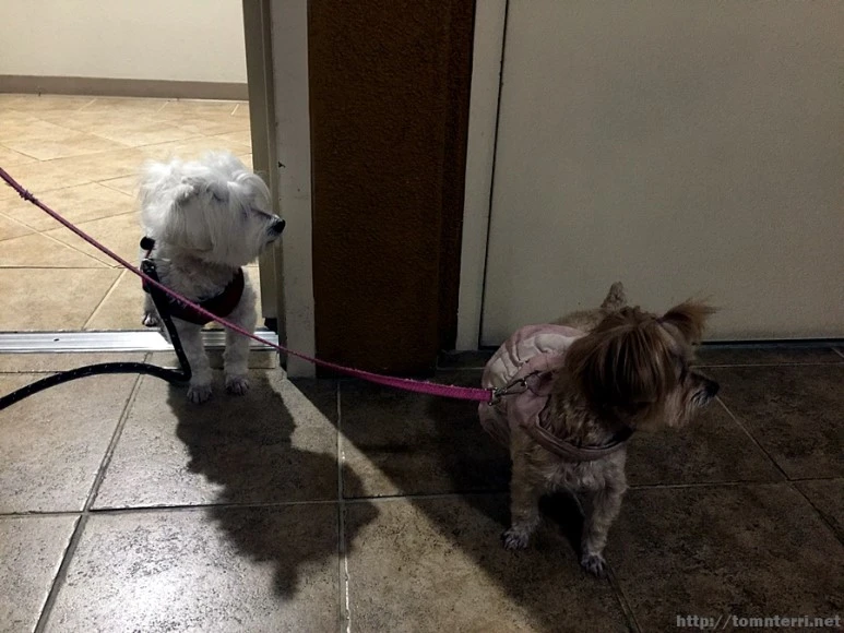 2017-05-07_at_01.57.02.jpg?type=w773