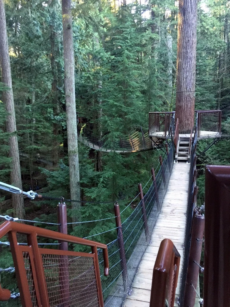 image_6715201551469348818420.jpg?type=w773