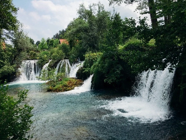 image_6441487451469326596587.jpg?type=w773