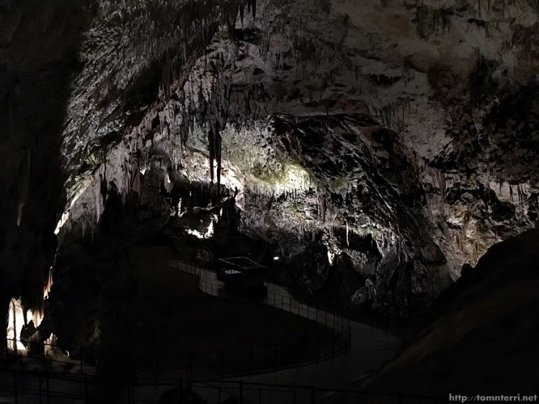 2016-06-24_at_20.07.55.jpg?type=w773