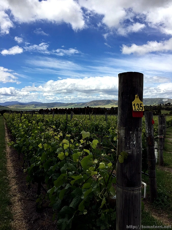 2016-11-25_at_12.22.57.jpg?type=w773