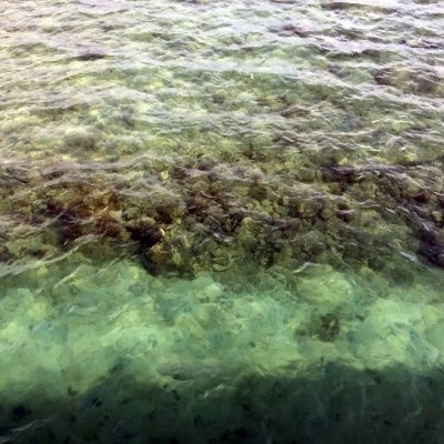 2015-07-20_at_18.50.23.jpg?type=w2