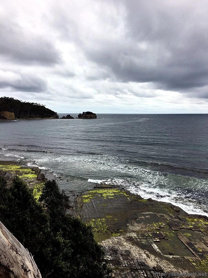 2016-11-23_at_11.38.18.jpg?type=w773