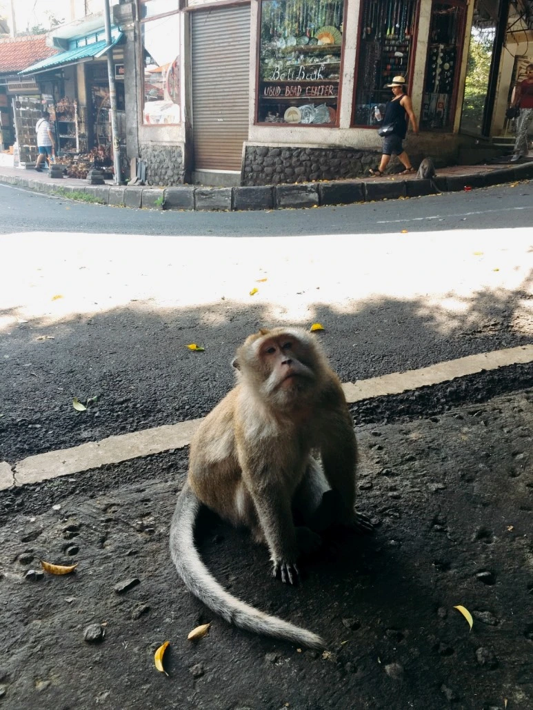 image_2205132071476019059029.jpg?type=w773