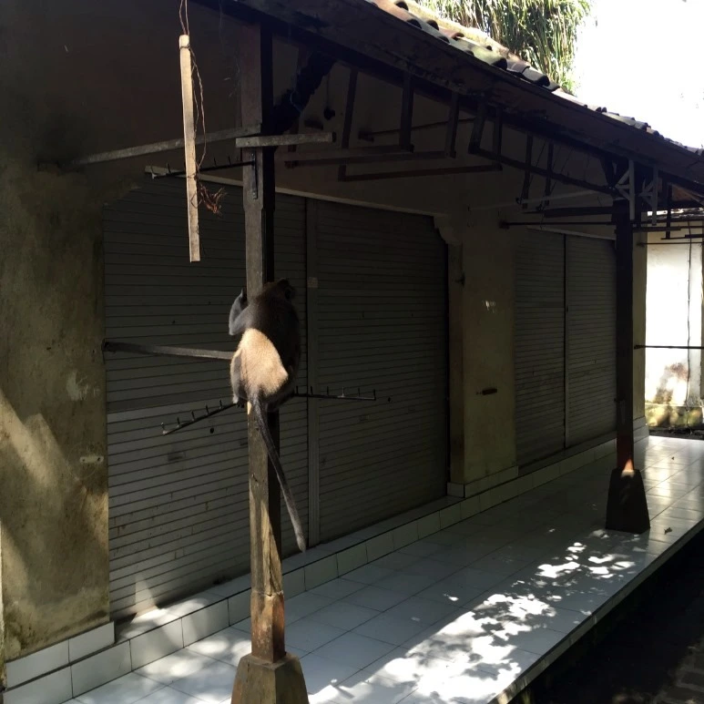 image_7154660671476019059038.jpg?type=w773