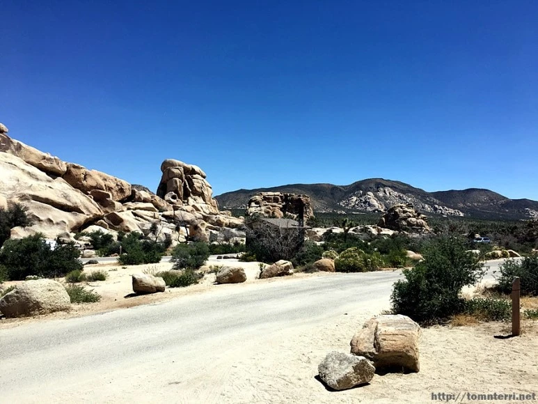 2017-05-05_at_05.23.20.jpg?type=w773