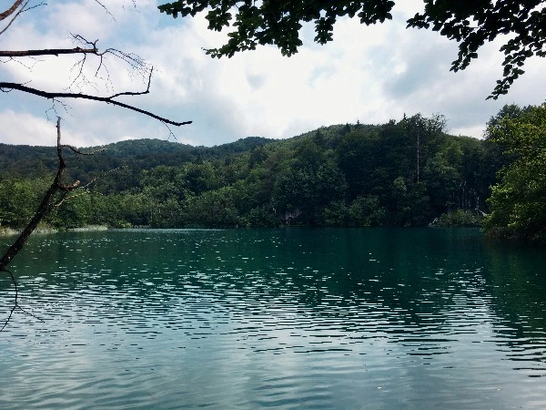 image_5969345851469328724847.jpg?type=w773