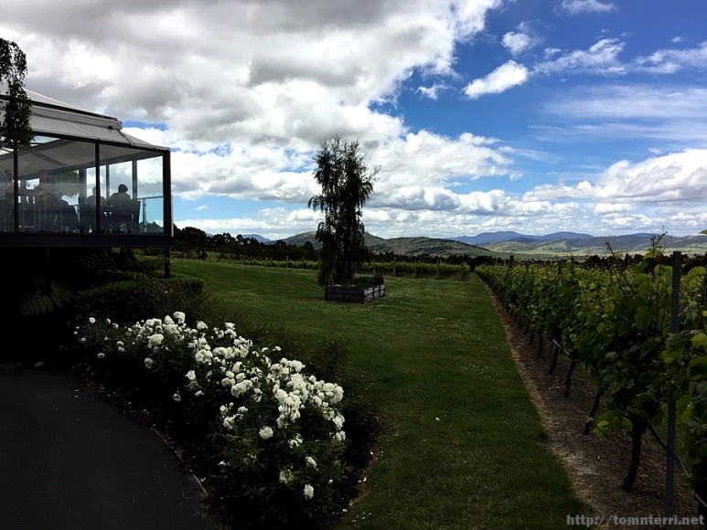 2016-11-25_at_12.22.50.jpg?type=w773