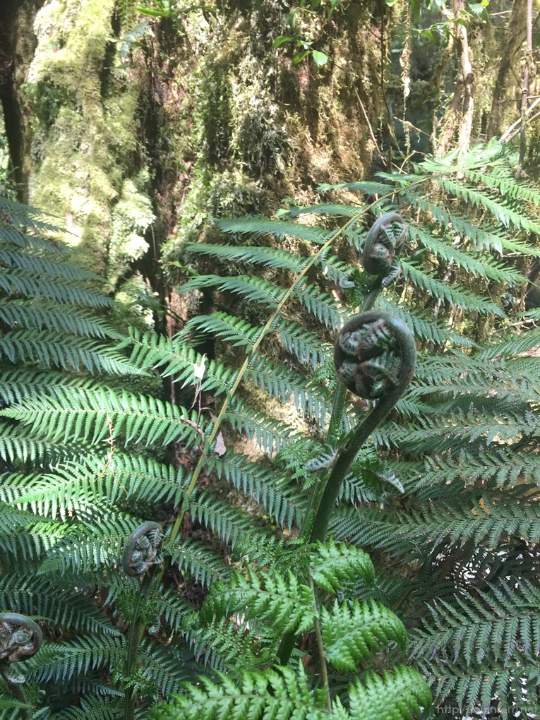 2016-11-21_at_12.54.33.jpg?type=w773