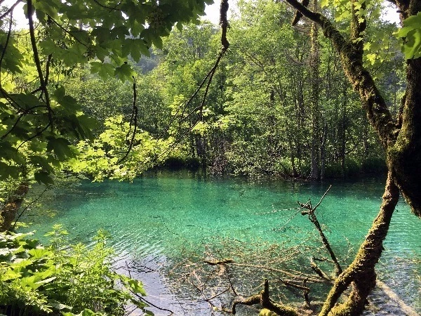 image_8575357161469329981182.jpg?type=w773