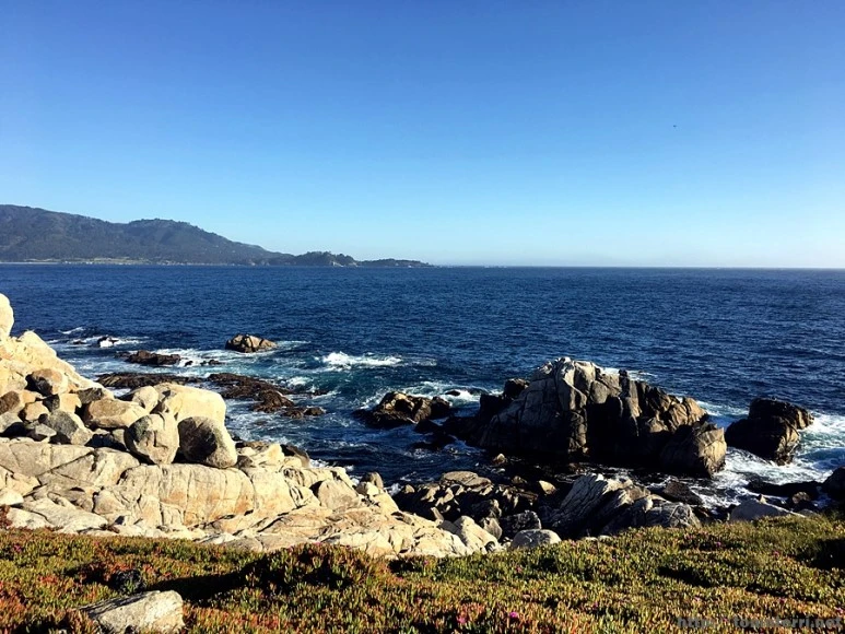 2017-05-02_at_10.21.27.jpg?type=w773