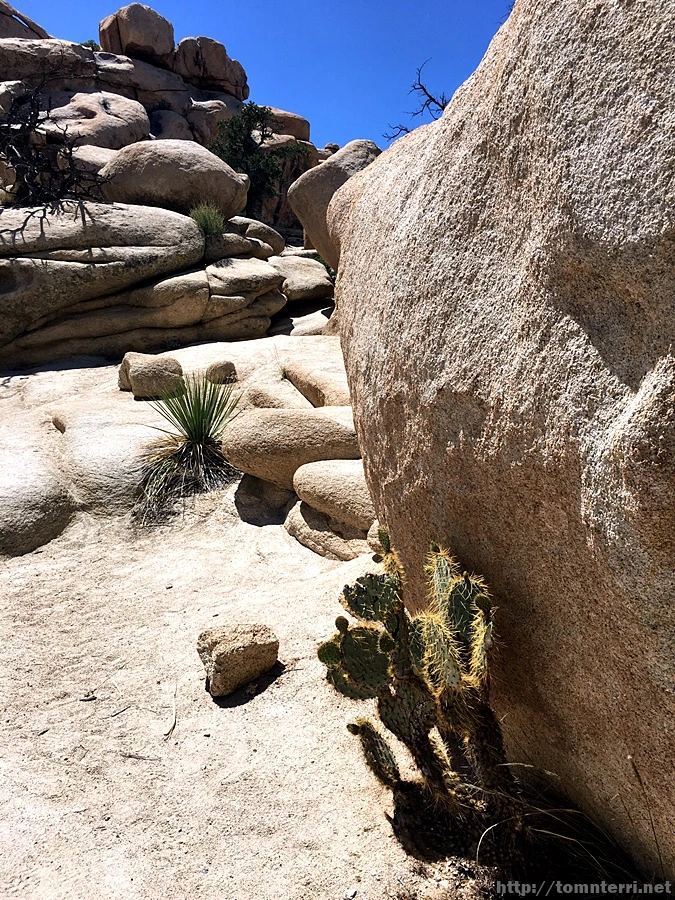 2017-05-05_at_05.43.37.jpg?type=w773