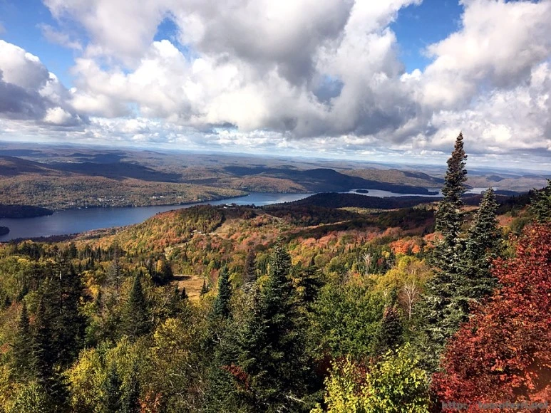 2017-10-07_at_00.26.32.jpg?type=w773