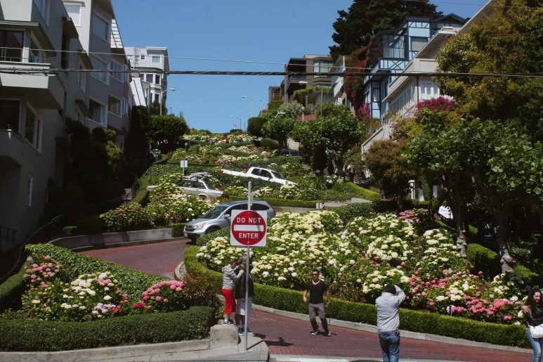 image_8134793311496240880315.jpg?type=w773