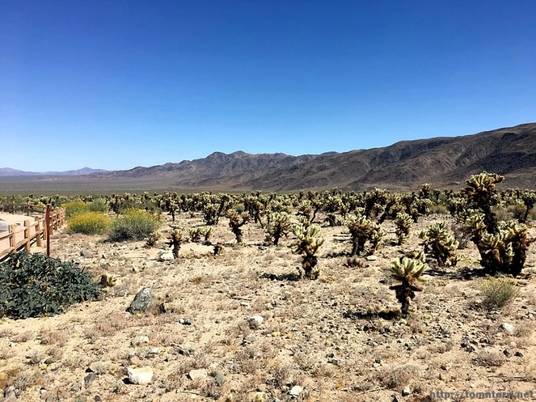 2017-05-05_at_07.12.24.jpg?type=w773