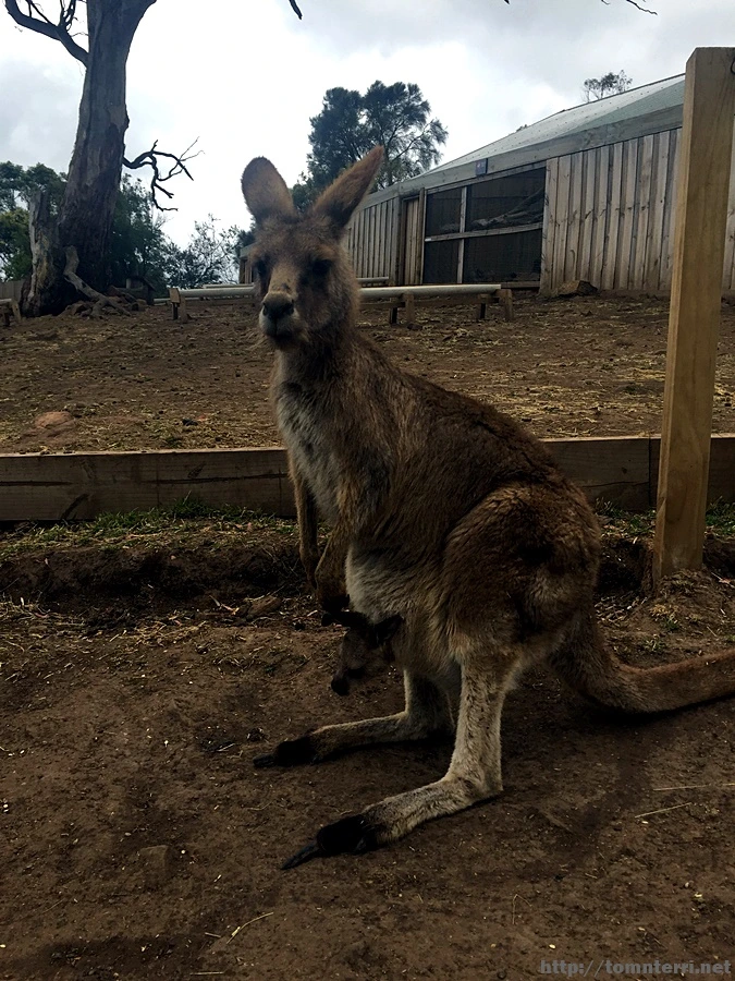 2016-11-25_at_09.05.24.jpg?type=w773