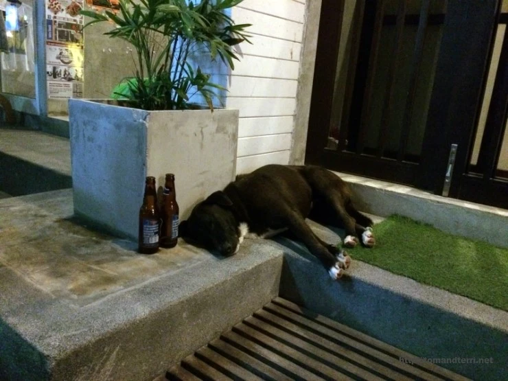 2015-07-17_at_22.33.37.jpg?type=w2