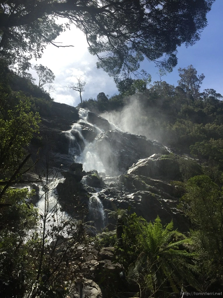 2016-11-21_at_12.49.15.jpg?type=w773