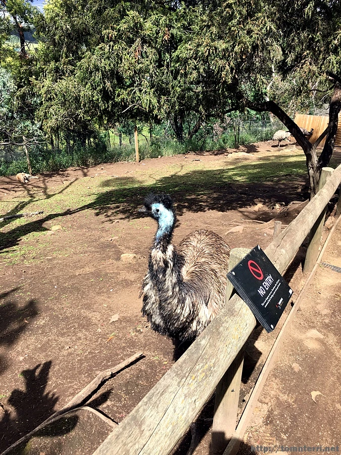 2016-11-25_at_08.33.07.jpg?type=w773