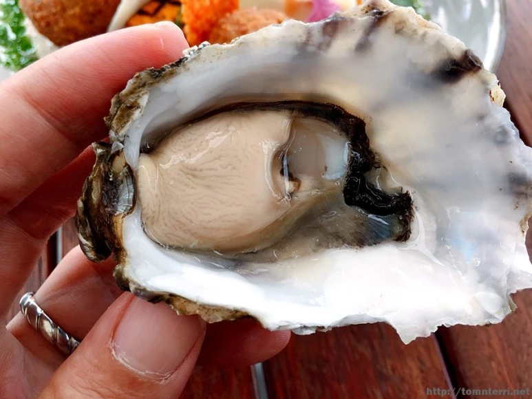 2016-11-25_at_11.41.36.jpg?type=w773