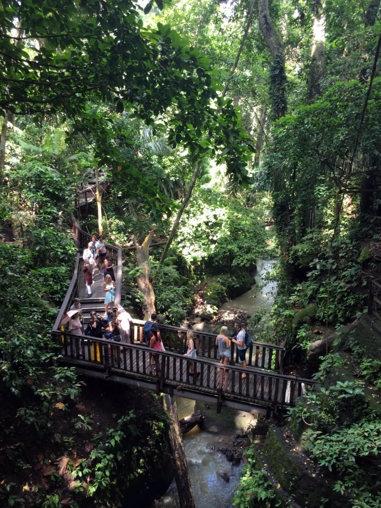 image_3534716341476019059044.jpg?type=w773