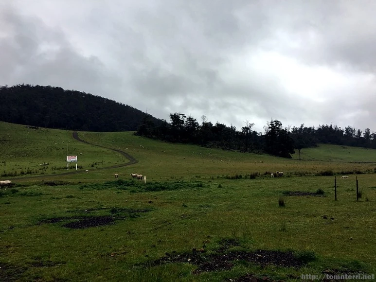 2016-11-23_at_08.55.05.jpg?type=w773