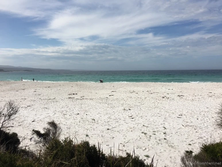 2016-11-21_at_14.48.37.jpg?type=w773