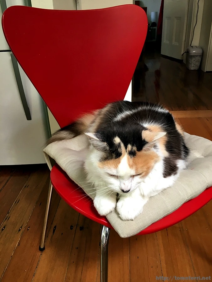 2016-11-24_at_07.21.12.jpg?type=w773