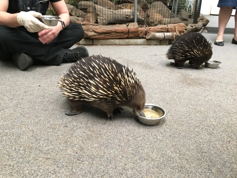 2016-11-20_at_13.38.43.jpg?type=w773