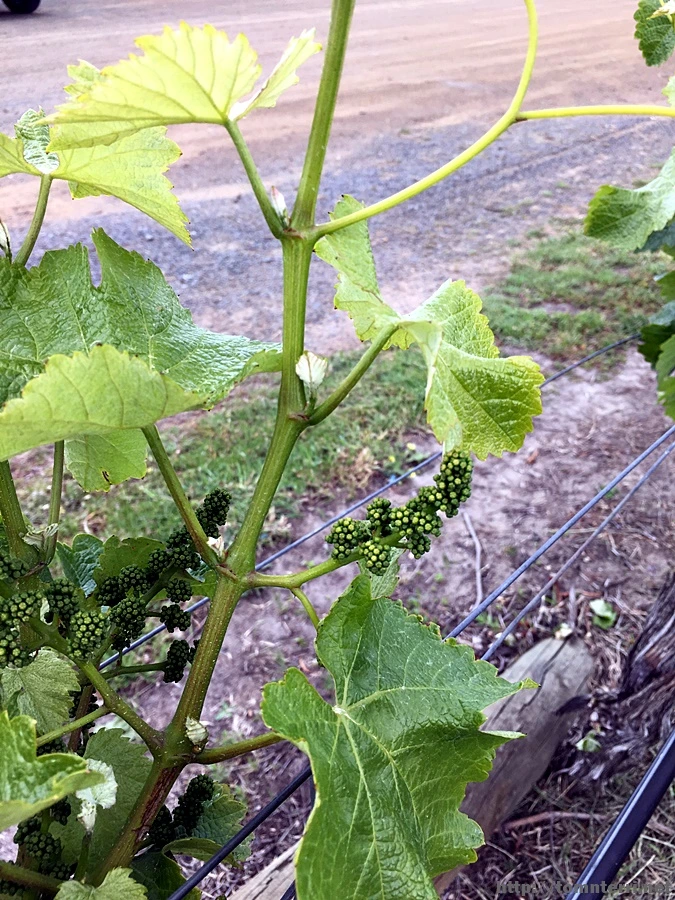 2016-11-25_at_12.24.02.jpg?type=w773