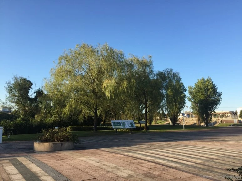 2016-10-14_at_16.13.44.jpg?type=w773