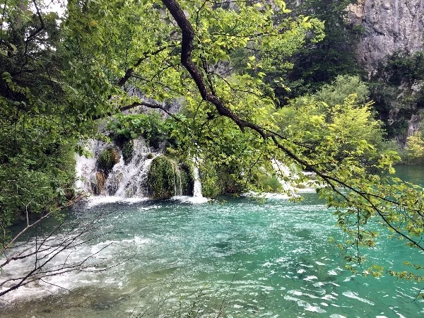 image_5173423231469330111406.jpg?type=w773