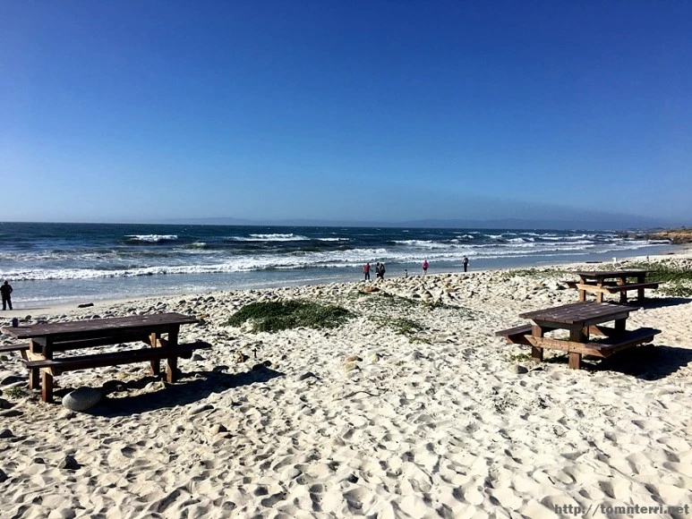 2017-05-02_at_09.12.29.jpg?type=w773