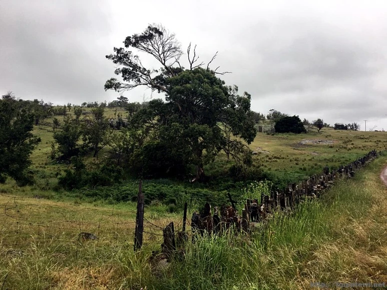 2016-11-23_at_08.13.48.jpg?type=w773